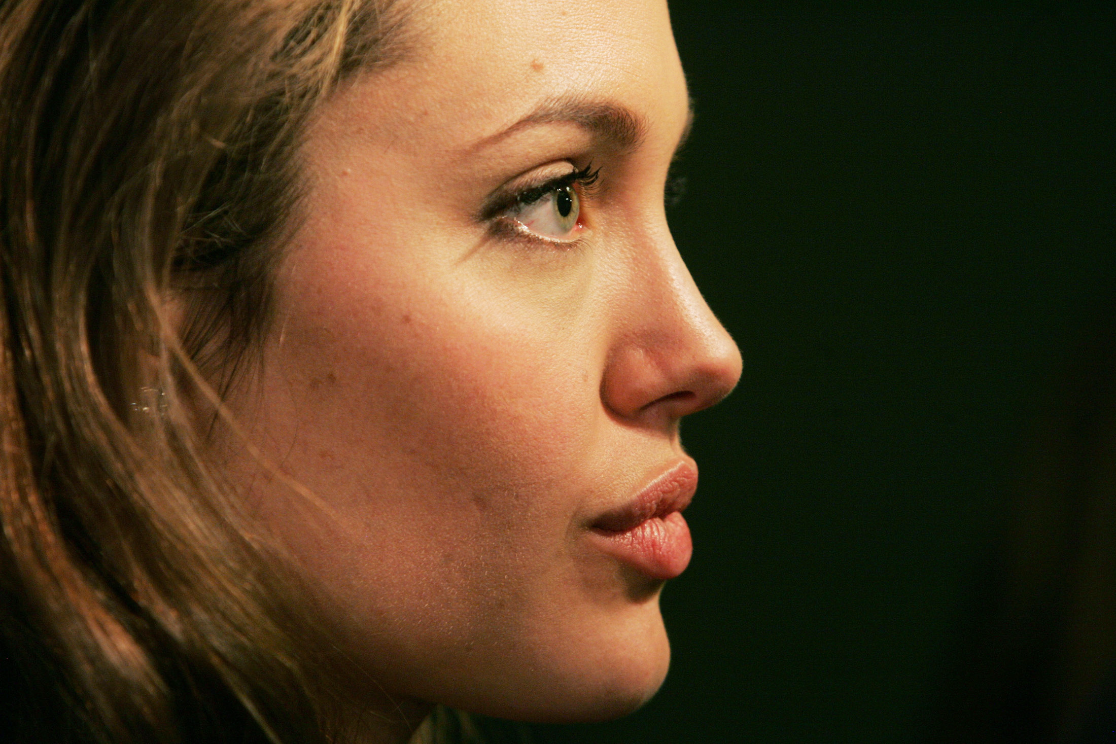 Анджелина Джоли профиль лица